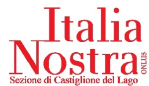 Logo IN